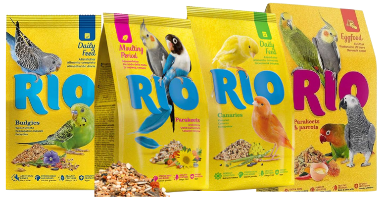 🎉 Special Offer! 🎉