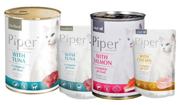 🎉 Special Offer! 🎉