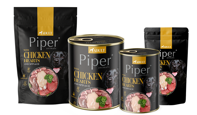 🎉 Special Offer! 🎉