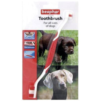 Toothbrush