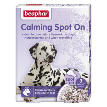Calming Spot on Dog