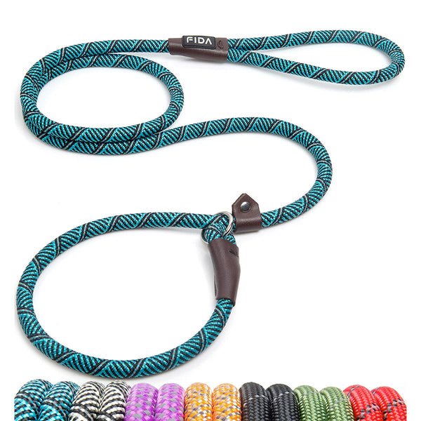 Fida Durable Slip Lead Dog Leash / Training Leash - Blue