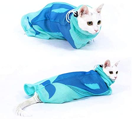 Cat Accessories