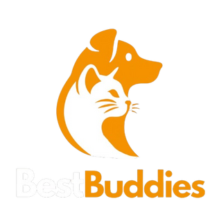 BestBuddies 