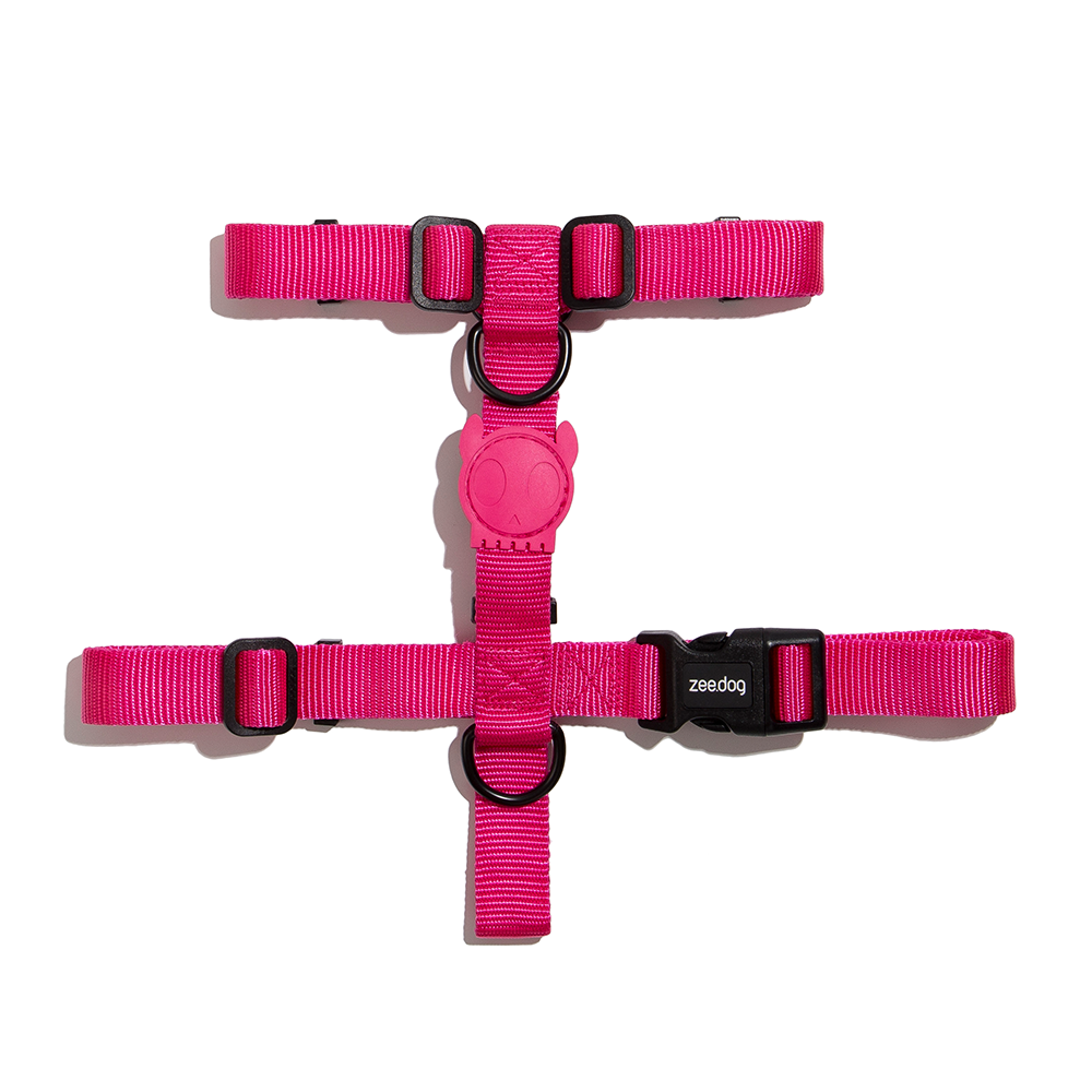 Zee.Dog Pink Led H-Harness Medium
