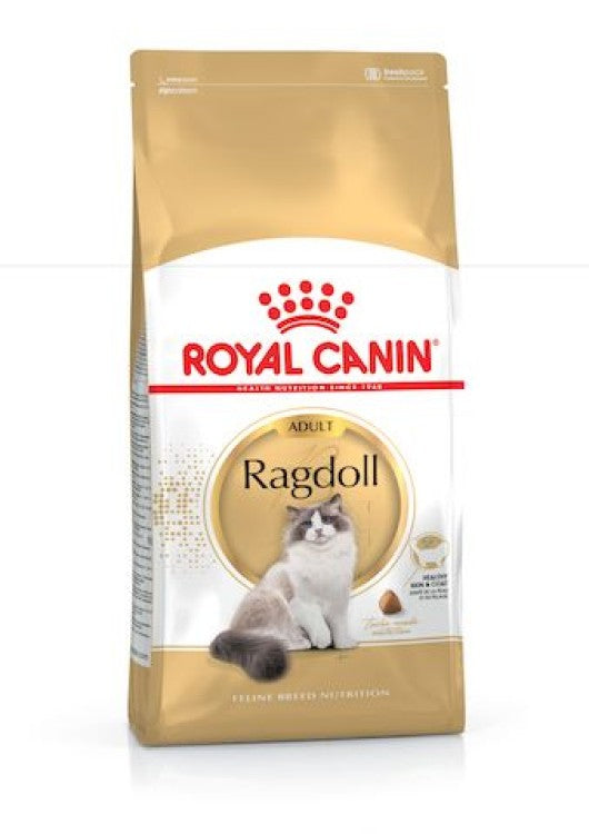 Cat Dry Food