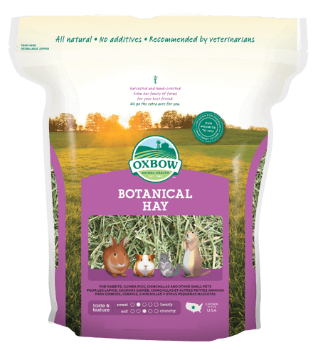 oxbow, dubai pet food, pet shop near me, puppies online, pet, buy pet, pet food in dubai, pet clothes shop, pet store dubai, dog food dubai, pet online, pet shops in dubai, pets market warsan
