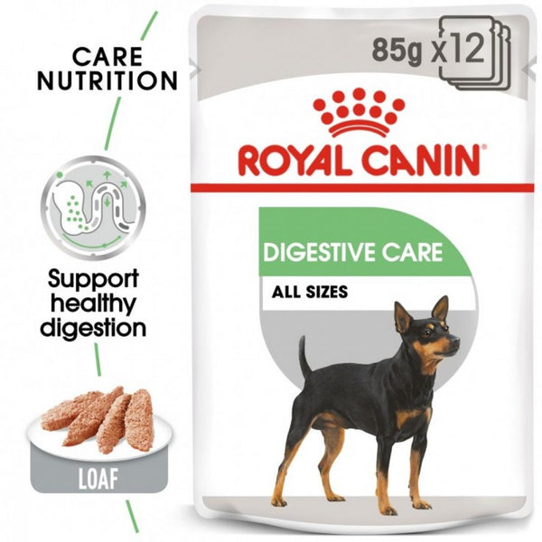 Royal Canin Digestive Care Wet Food For Dogs 85G